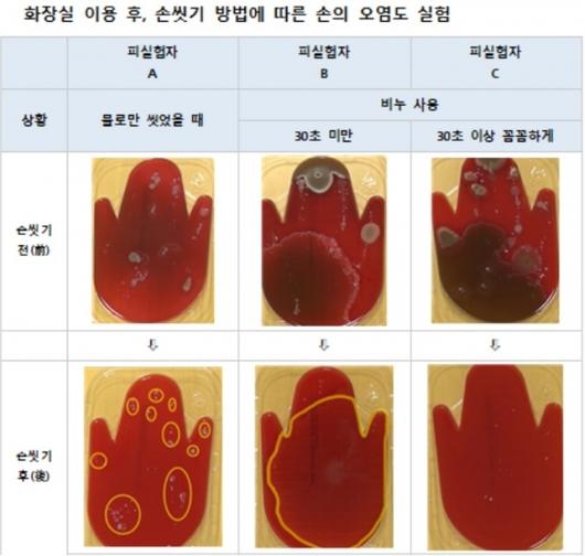 머니투데이