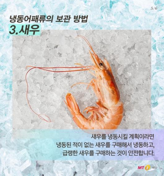 머니투데이