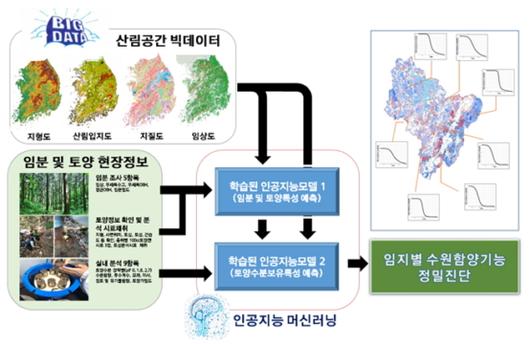 머니투데이