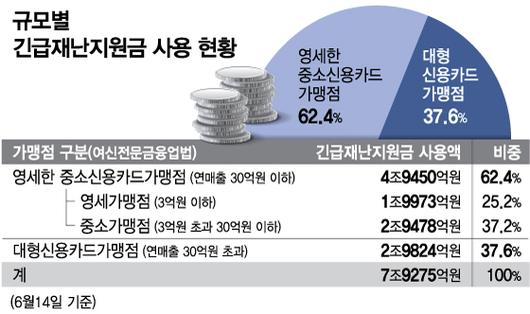 머니투데이