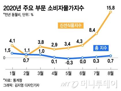 머니투데이