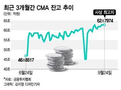 머니투데이