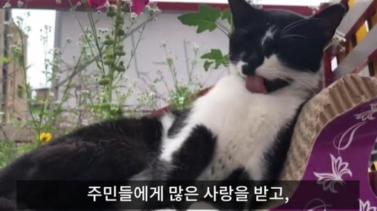 머니투데이