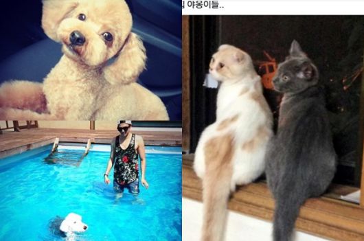 /사진=박은석 반려동물 트위터 계정