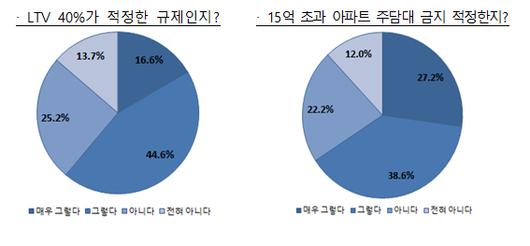 머니투데이