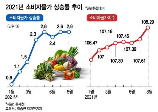 머니투데이