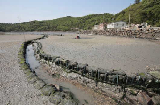 경계가 뚜렷하게 구분되는 갯벌밭. /사진제공=문화재청