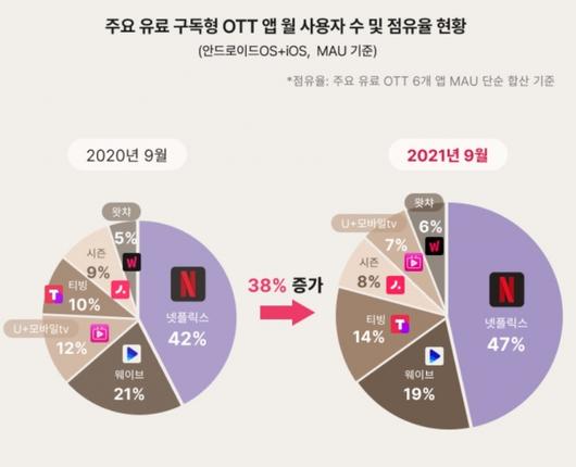 머니투데이