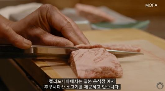 머니투데이