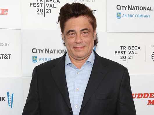 배우 베니시오 델 토로/사진=AFP/뉴스1