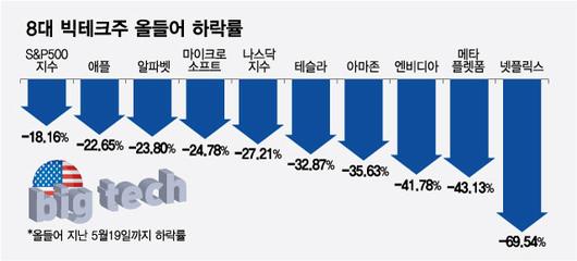 머니투데이