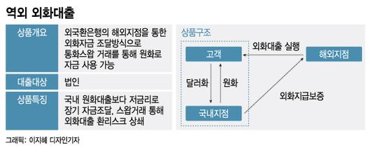 머니투데이