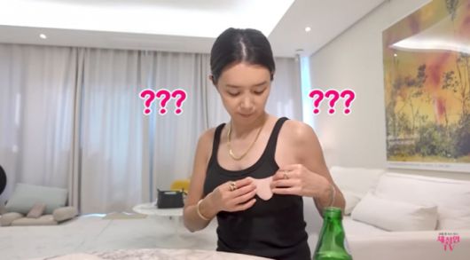 /사진=채정안 유튜브 채널