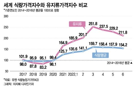 머니투데이