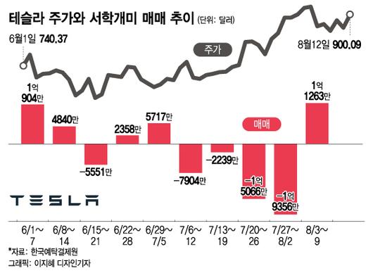 머니투데이