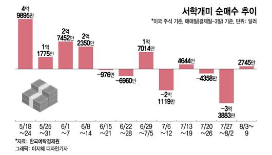 머니투데이