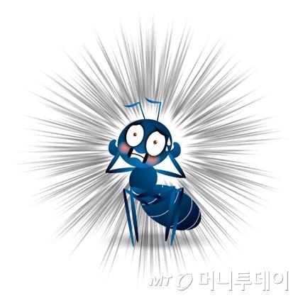 머니투데이