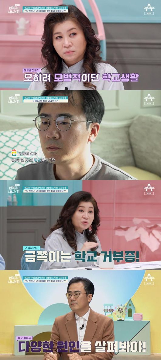 /사진=채널A '요즘 육아-금쪽 같은 내새끼' 방송 화면