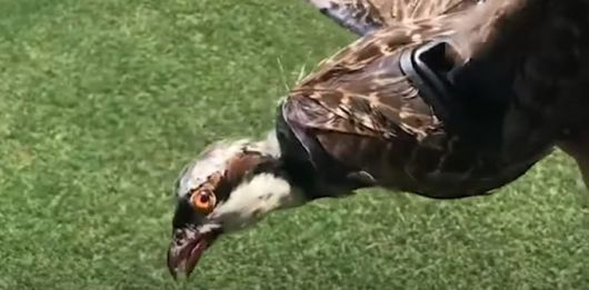 미국항공우주학회(AIAA)에서 공개된 드론. / 사진=뉴멕시코테크