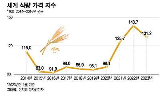 머니투데이