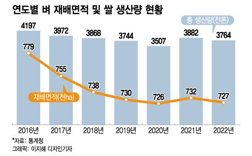 머니투데이