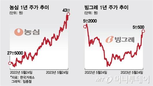 머니투데이