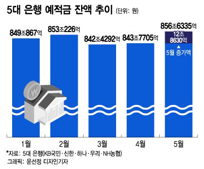 머니투데이