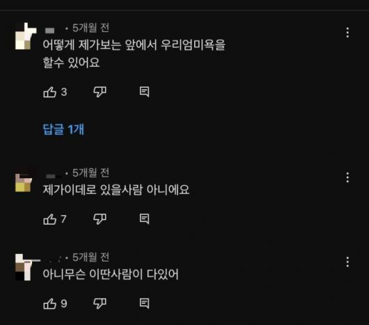 임블리 딸이 쓴 것으로 알려진 댓글 /사진=온라인 커뮤니티 캡처