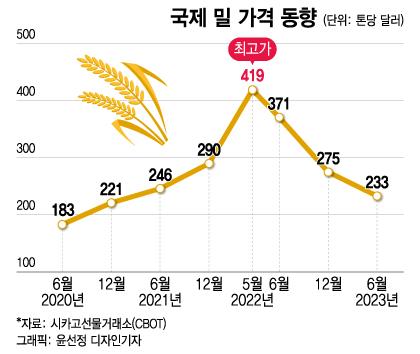 머니투데이