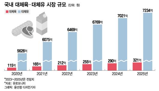 머니투데이