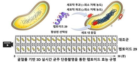 머니투데이