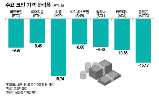 머니투데이