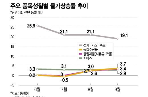 머니투데이