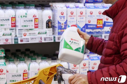 (서울=뉴스1) 민경석 기자 = 27일 서울의 한 대형마트에서 시민들이 우유를 고르고 있다.  2023.11.27/뉴스1  Copyright (C) 뉴스1. All rights reserved. 무단 전재 및 재배포,  AI학습 이용 금지.