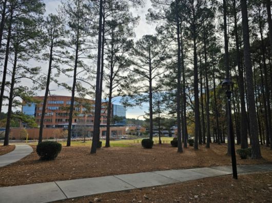 거대한 공원처럼 조성된 RTP 모습/사진= 정진우 기자