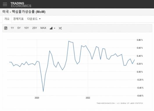 머니투데이