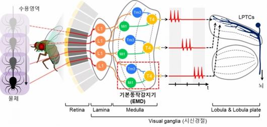 머니투데이