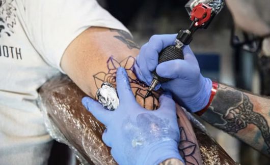 /사진=라이브사이언스 기사 캡처