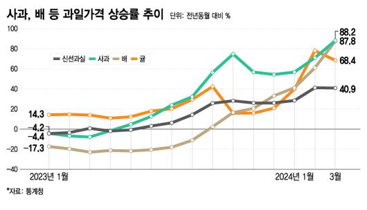 머니투데이