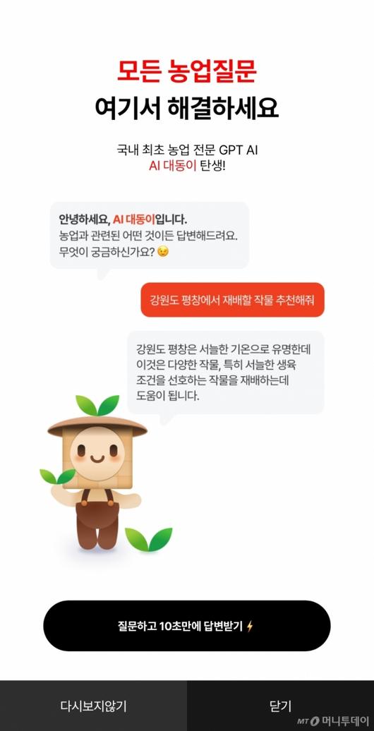 머니투데이