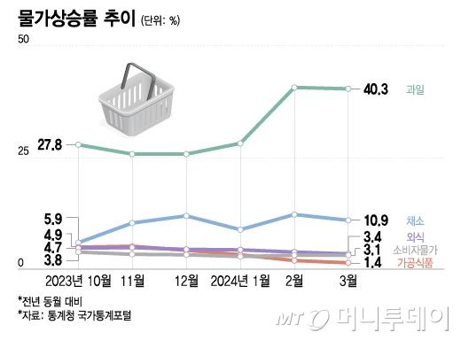 머니투데이