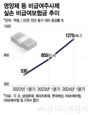 머니투데이