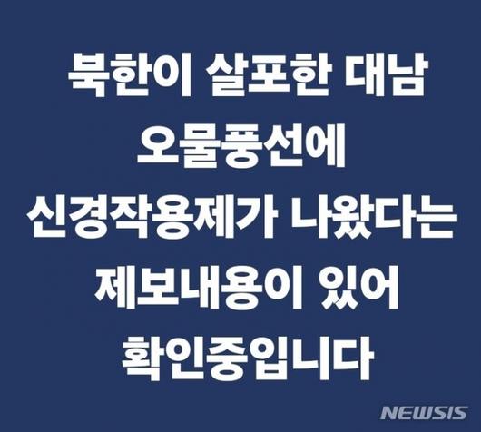 머니투데이