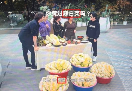 넷플릭스 웹예능 '슈퍼리치 이방인'에서 김치를 리바이차이라고 오역한 장면. /사진=서경덕 성신여대 교수 제공