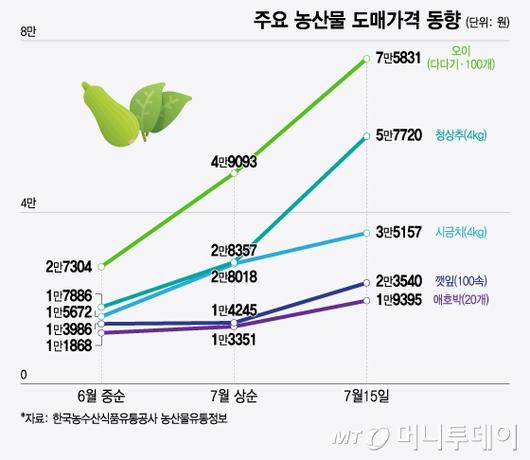 머니투데이