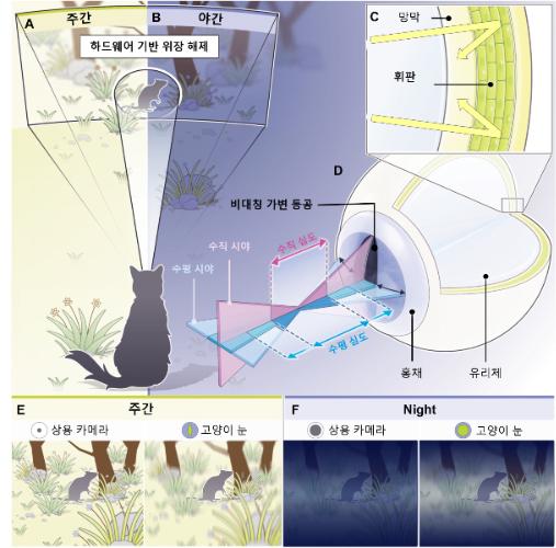 머니투데이