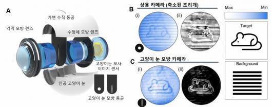 머니투데이