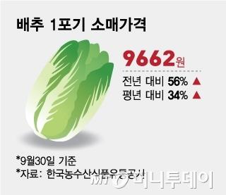 머니투데이