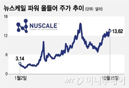 머니투데이