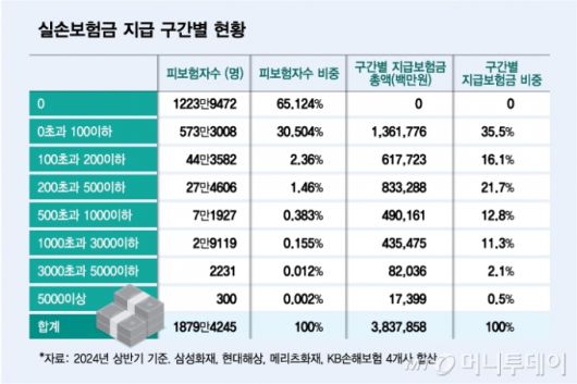 실손보험금 지급 구간별 현황/그래픽=김다나